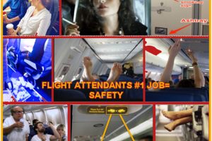 6 Rules from a Flight Attendant on Proper Passenger Behavior and their Safety basis