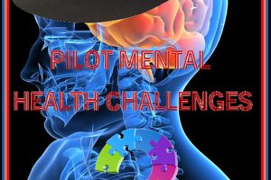 Senator asks in 2015 for OIG for evaluation of FAA Pilot Mental Health Policy; 2023 Report is UNDERWHELMING - JDA Solutions