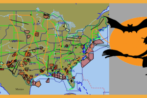 witch flights
