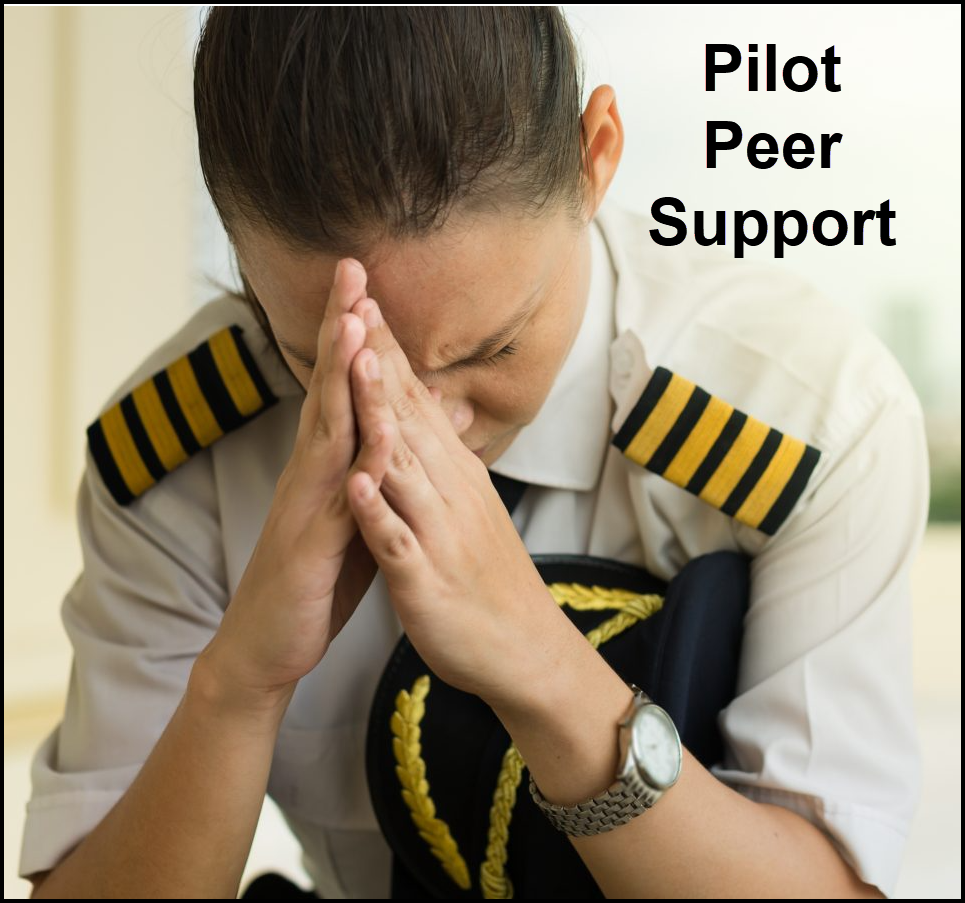 pilot peer support