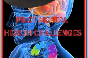 PILOT MENTAL HEALTH ISSUES