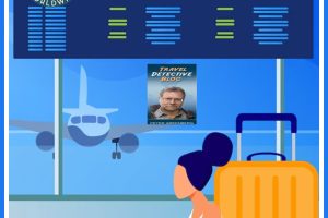 the travel detective
