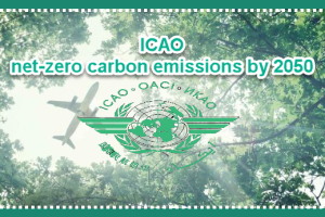 ICAO GREEN BASKET