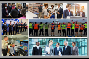 airline safety professionals